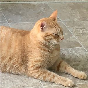 Meet your Posher, Alana